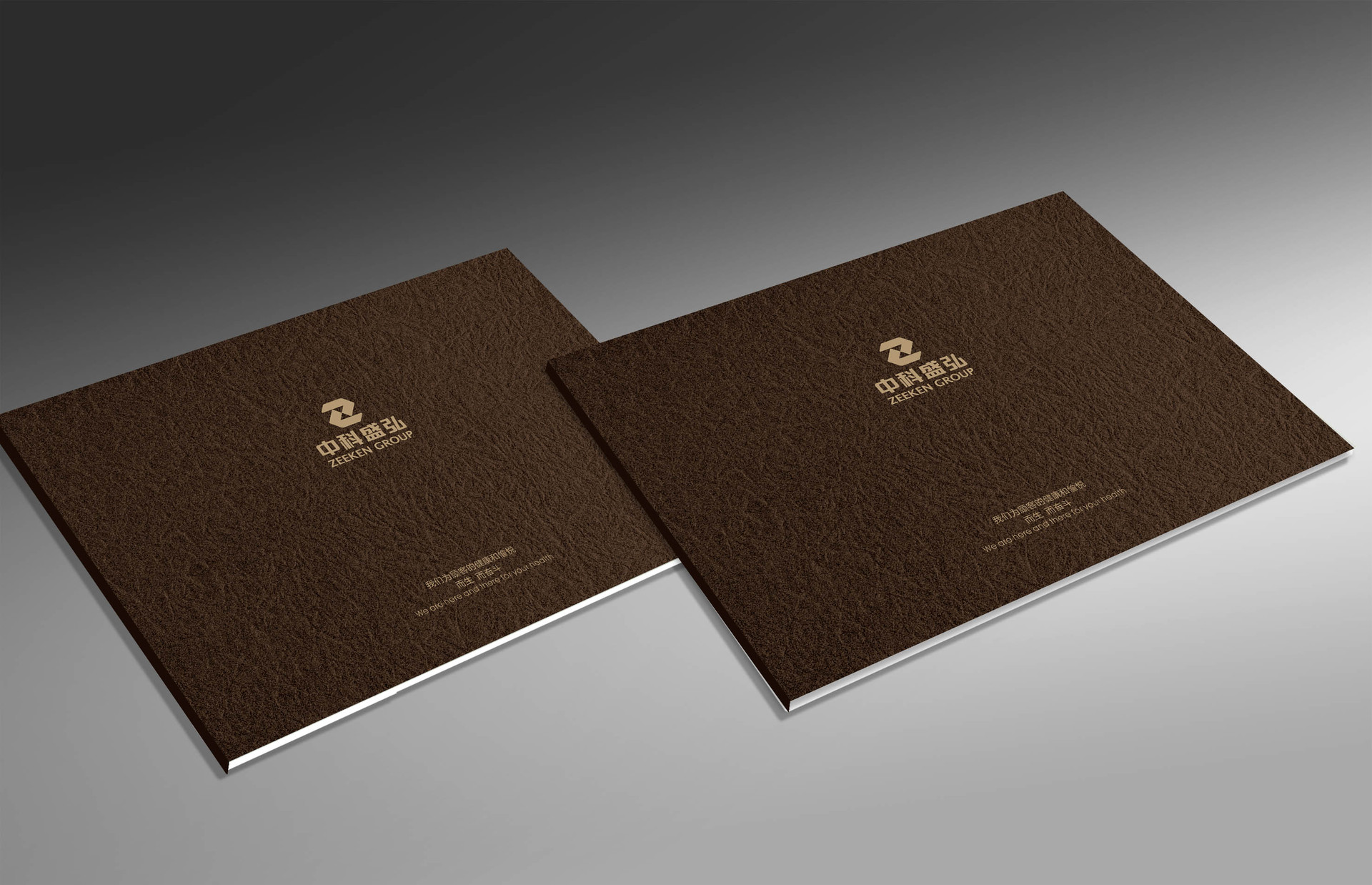 重庆普天印务印刷设计印刷精美特色企业中高档宣传画册