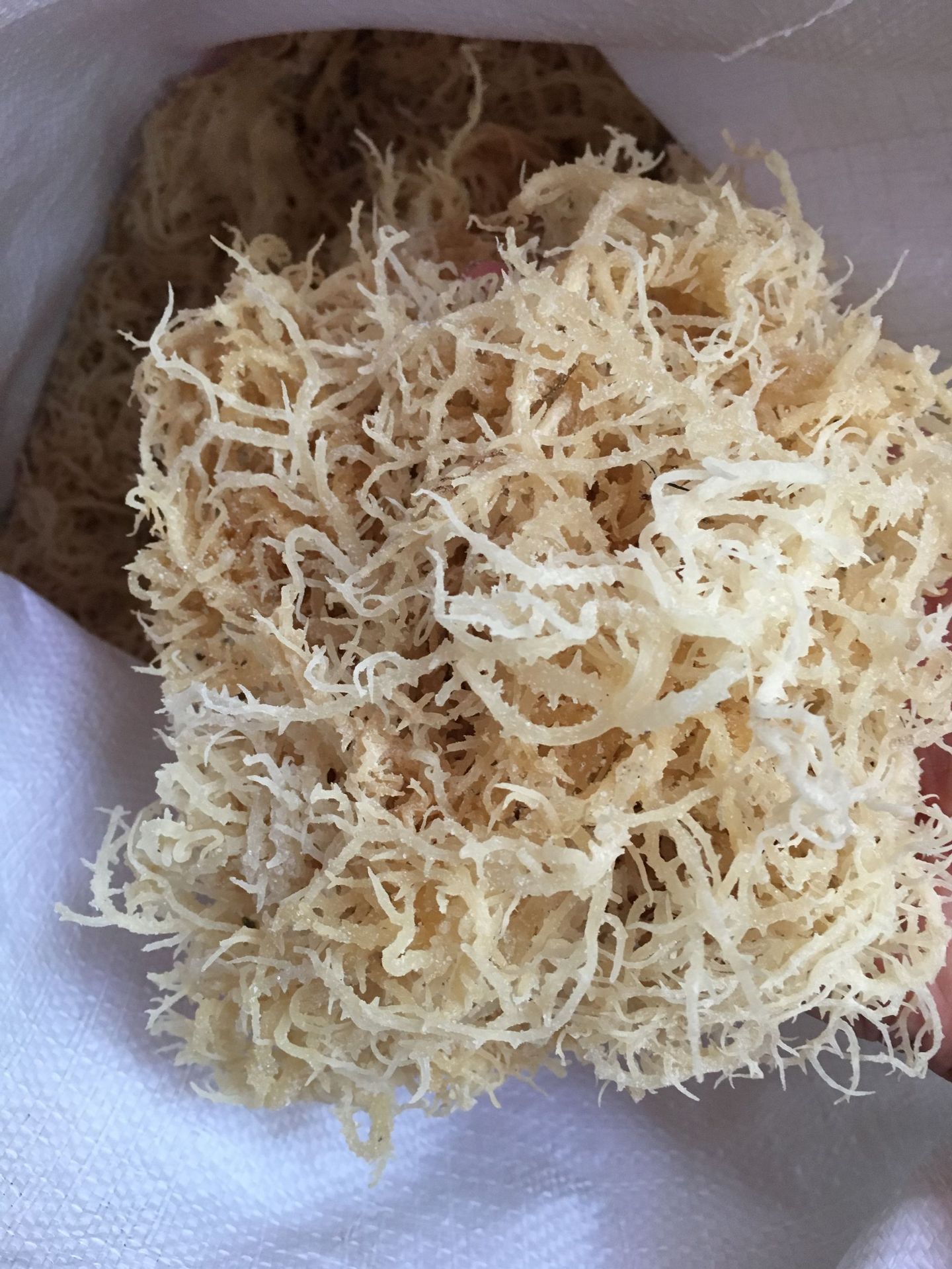 批发供应 野生海洋蔬菜 龙须菜 天然海花菜 海藻凉拌菜 健康营养