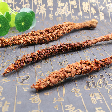 东北不老草大兴安岭不老草30cm草苁蓉批发不老草泡酒药材