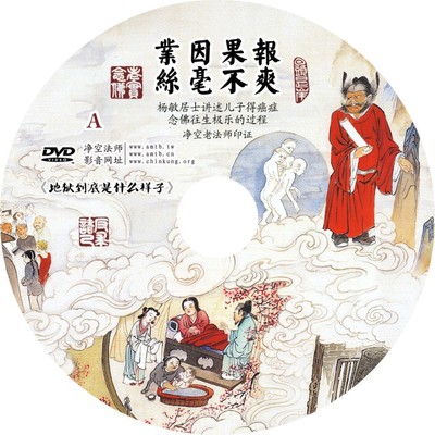 业因果报丝毫不爽 净空老法师印证杨敏居士讲述 2张dvd 因果教育