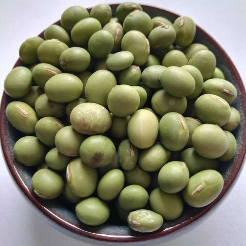 农家自种生大青豆 五谷杂粮青豆种子青大豆青皮豆绿大豆黄豆