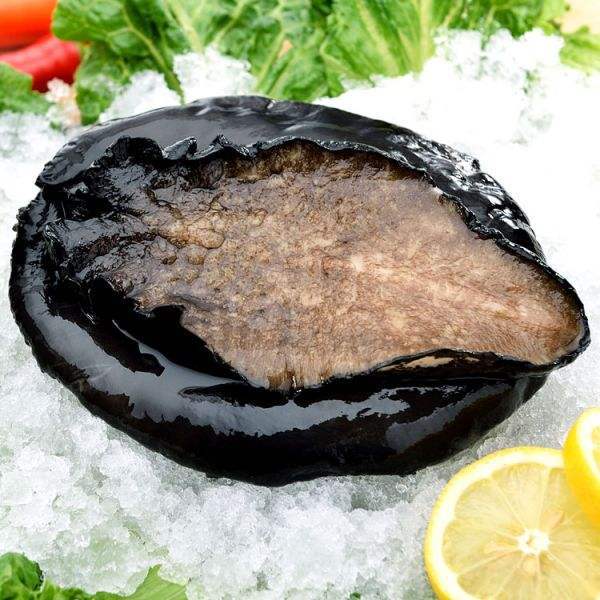 澳洲原装进口液氮刺生级黑边鲍鱼 纯肉袋装 海鲜水产带壳包装包邮