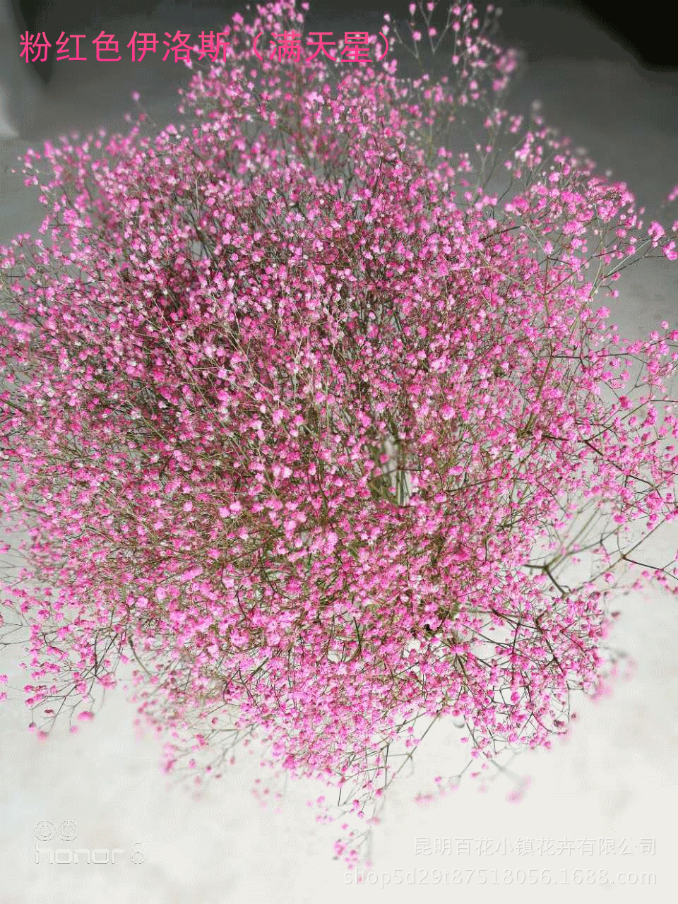 壁纸 花 桌面 960_1280 竖版 竖屏 手机 gif 动态图 动图