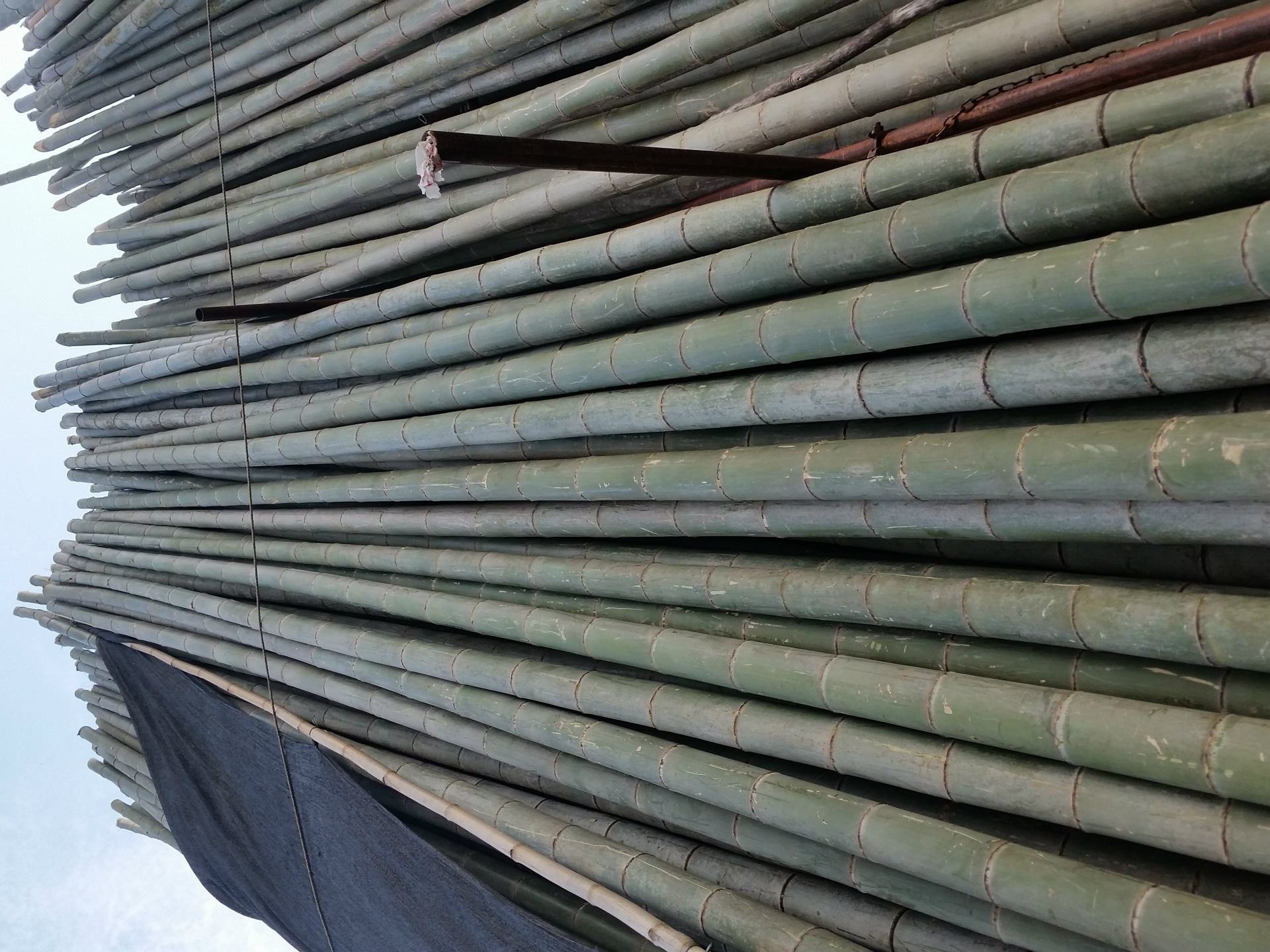 茂名湛江阳江批发出售装饰摆景布置观赏仿真 大小毛竹楠竹毛竹竿