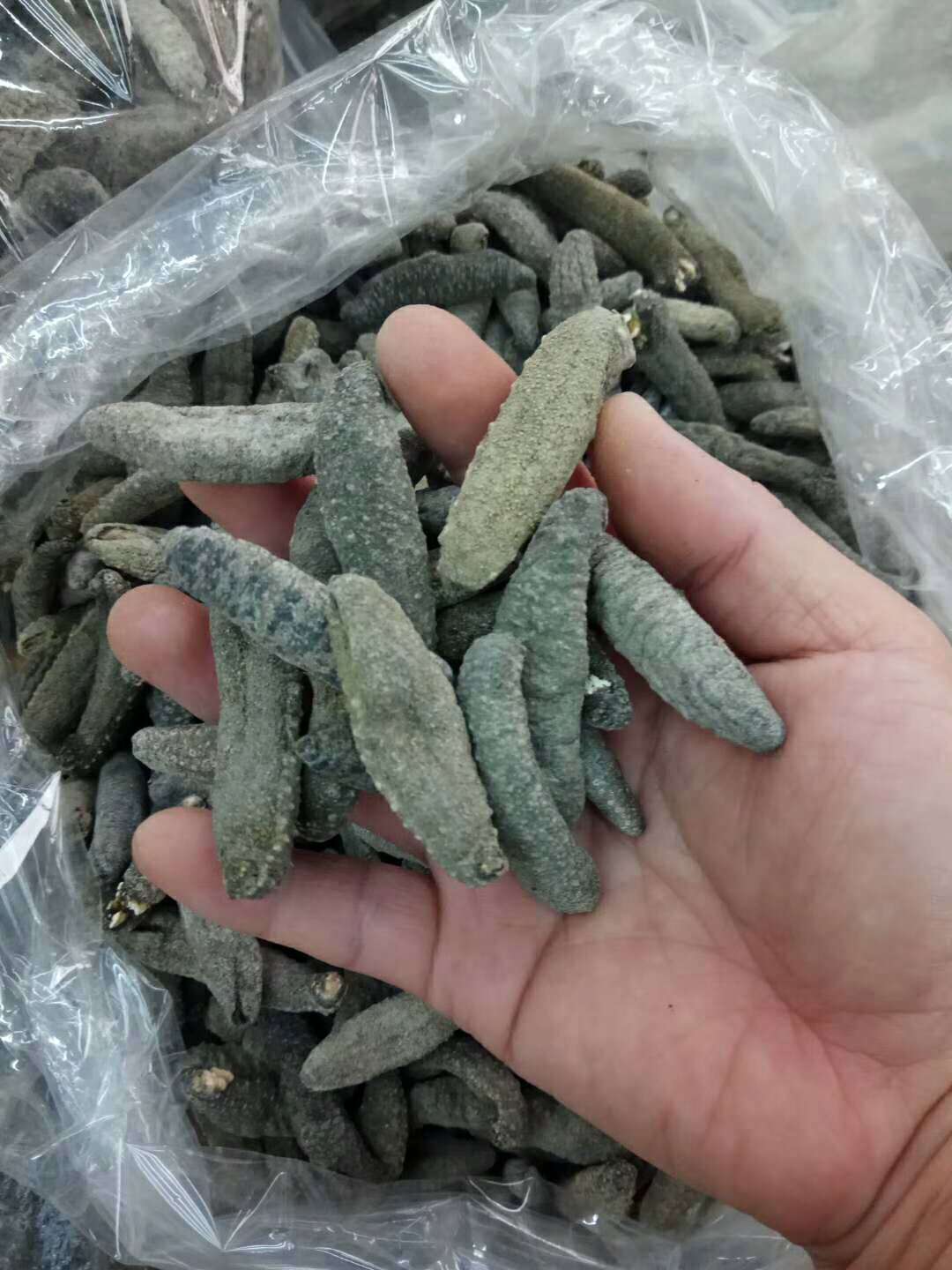 一德路海味渠道 灰北极参 海参干货 80-100头￥160