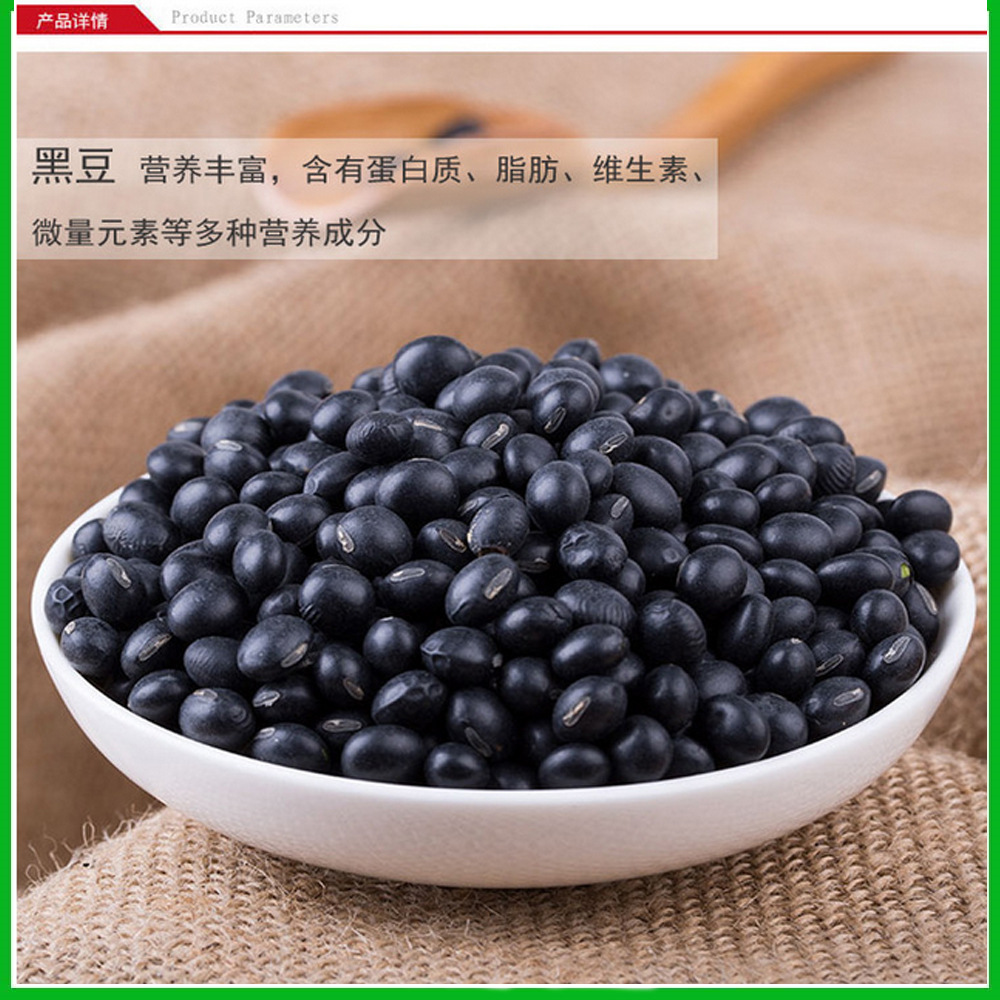 黑豆生粉 黑豆粉99% 黑豆提取物