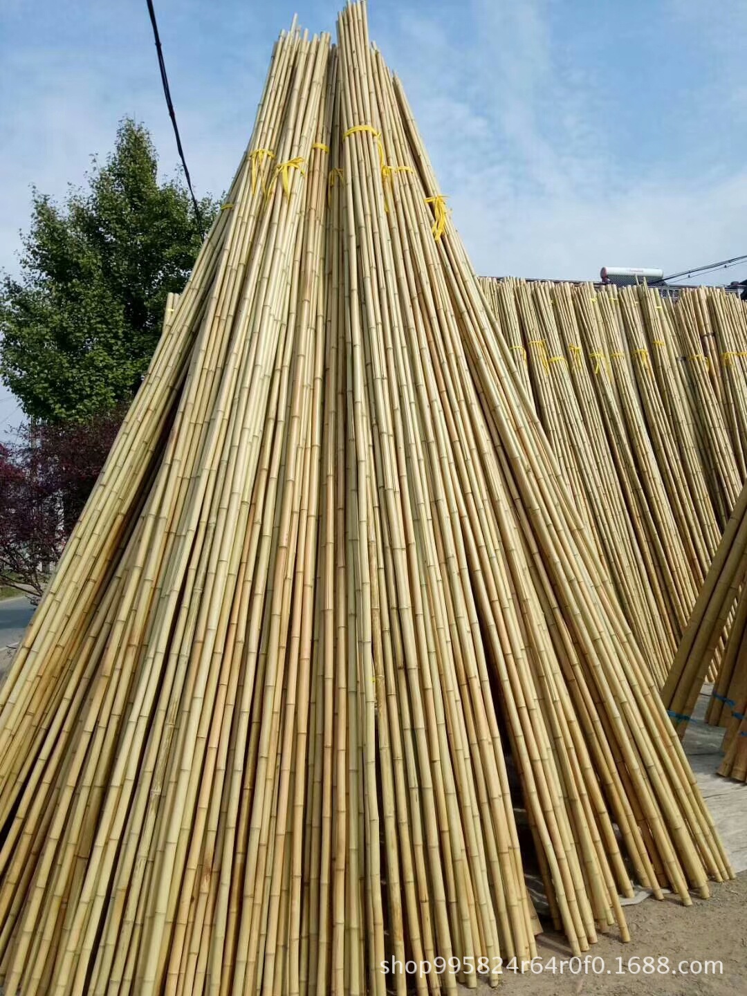 竹竿装饰小竹子搭架黄瓜豆角架菜园搭架彩旗跳舞粗细竹杆竹子隔断