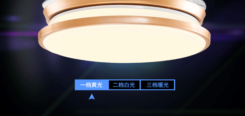 领王隐形吊扇灯 餐厅风扇灯客厅家用现代简约带led的电风扇吊灯