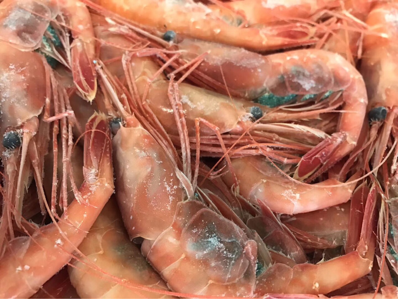 北极虾 北极甜虾 2l生冻北极甜虾 1公斤每盒