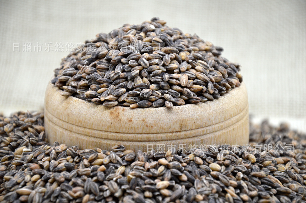 黑麦仁批发江苏特产去皮黑大麦米八宝粥原料一件500g代发五斤包邮