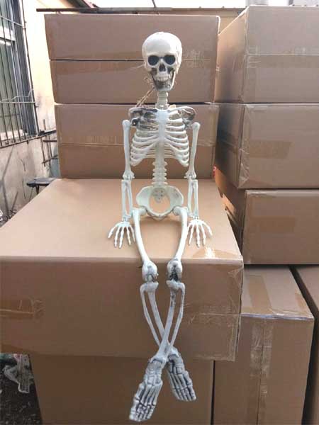 仿真人体骷髅骨架
