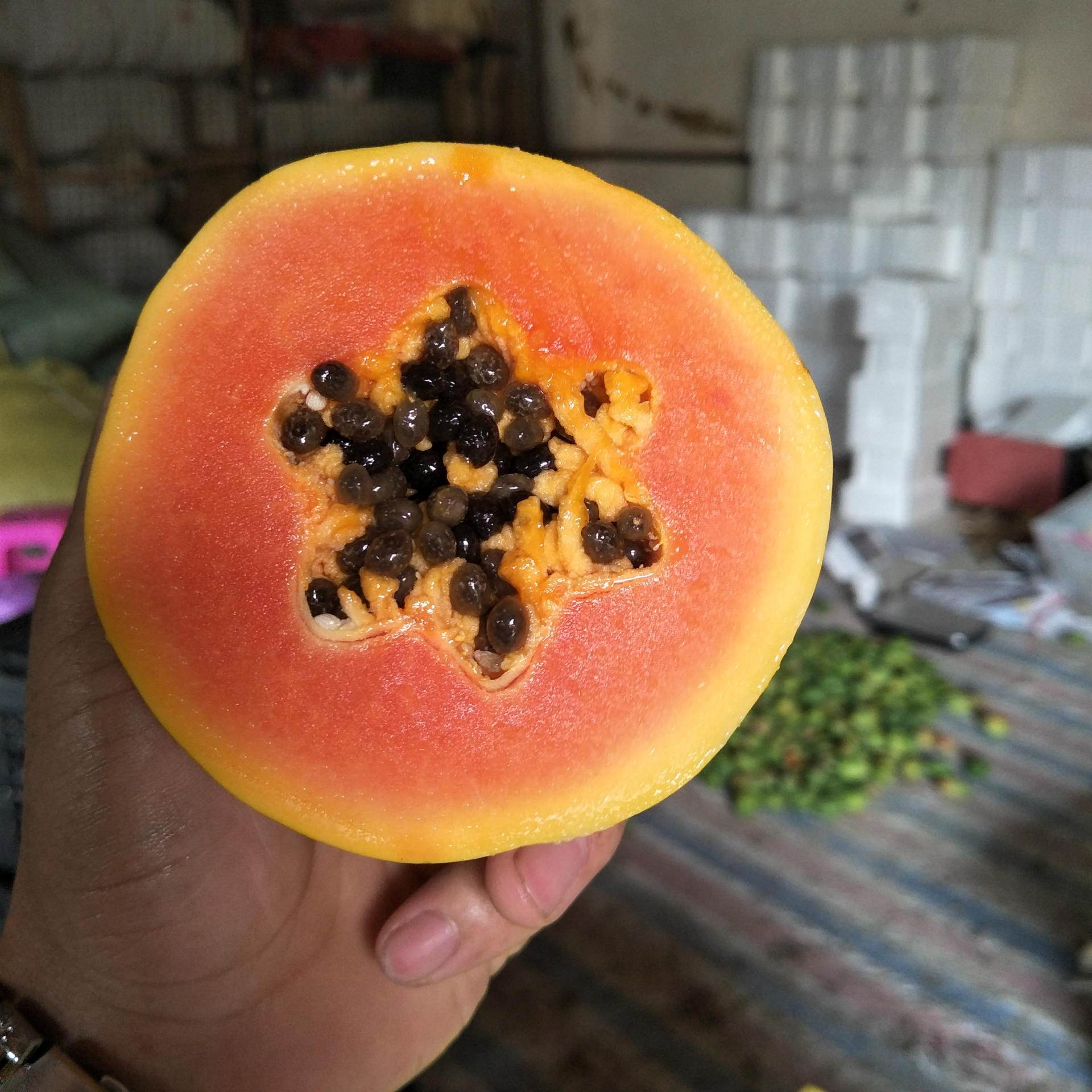 供应【红心木瓜】海南青皮木瓜红心新鲜水果