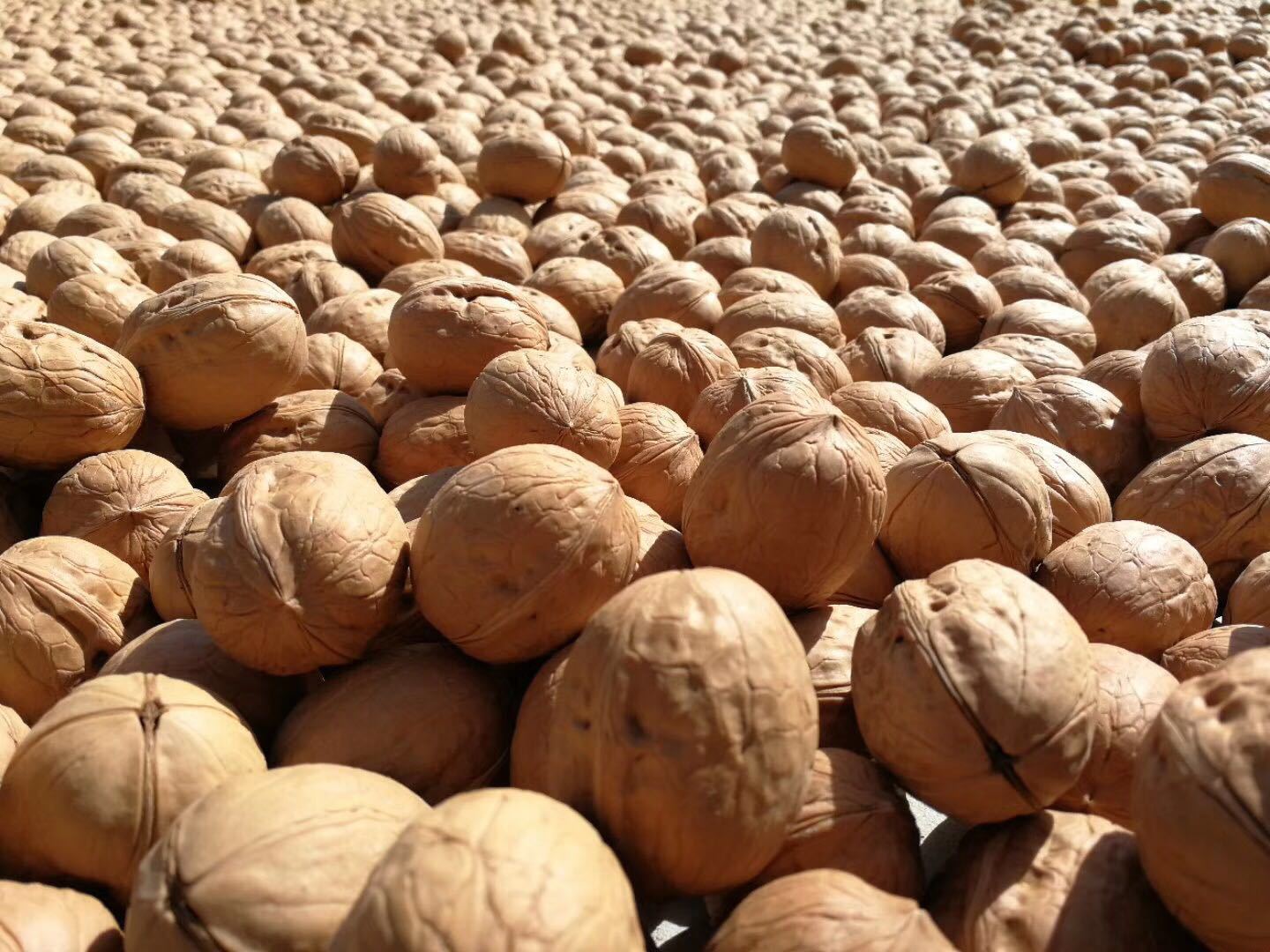 2017年4斤优质新疆三三核桃饱满新疆核桃优质核桃薄皮核桃