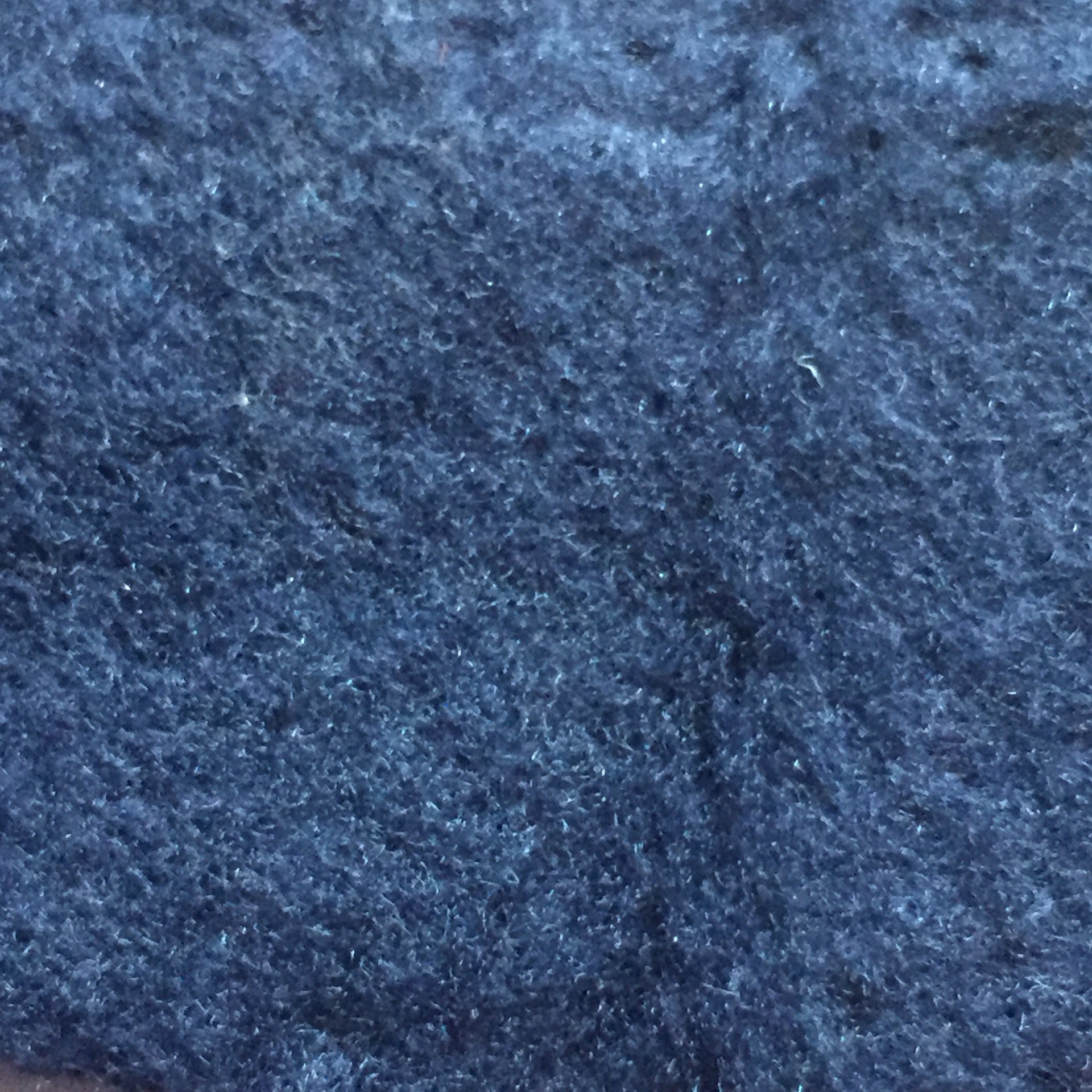 短纤卫衣拉绒布针织面料 冬季保暖加绒布 涤纶拉毛布现货库存批发