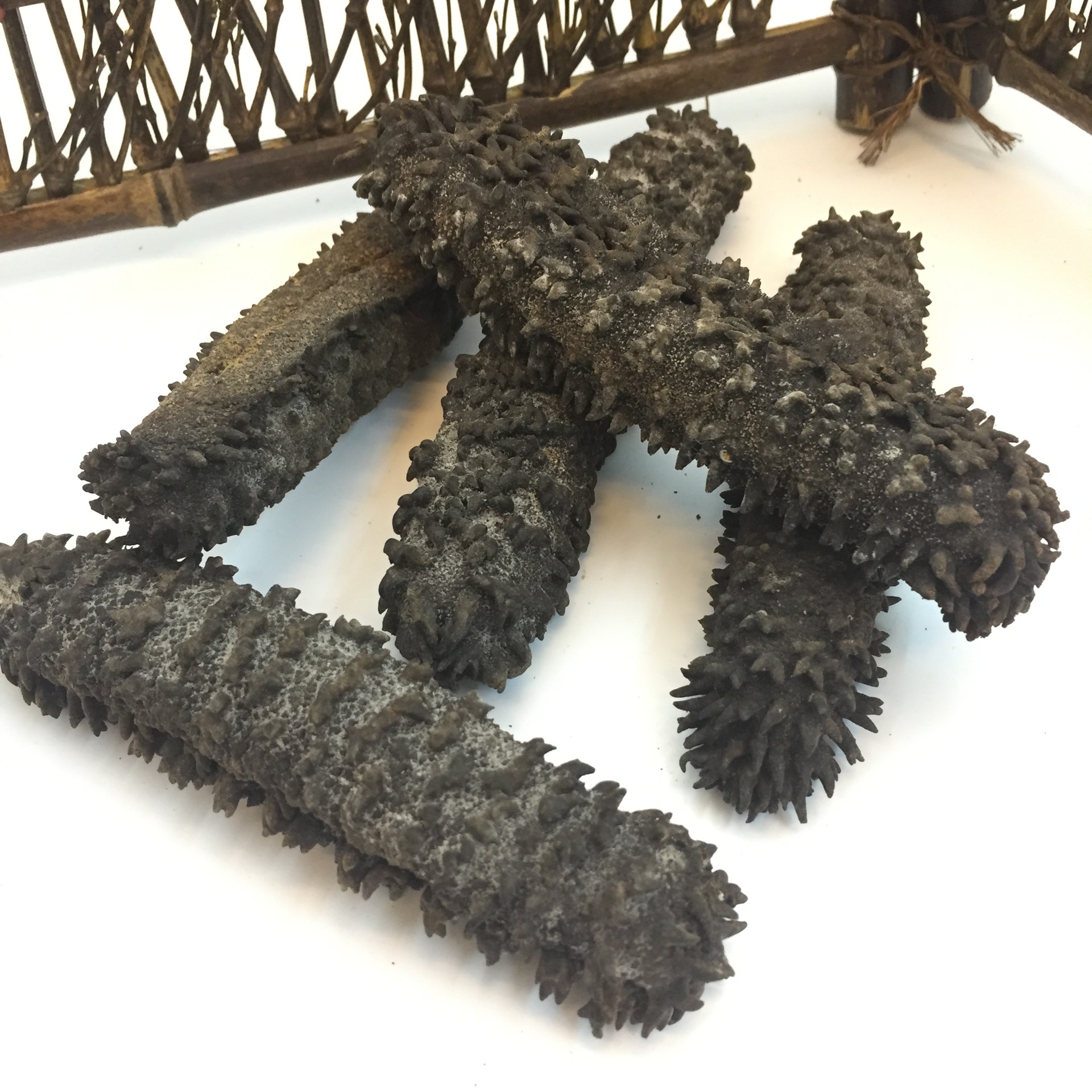 批发天然野生澳洲梅花参5-8头/斤 野生海参 刺参 海参干货批发