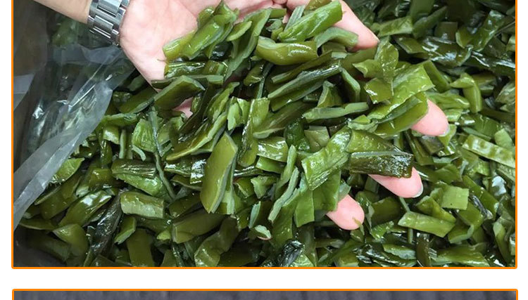 盐渍裙带梗 裙带梗 盐渍裙带菜