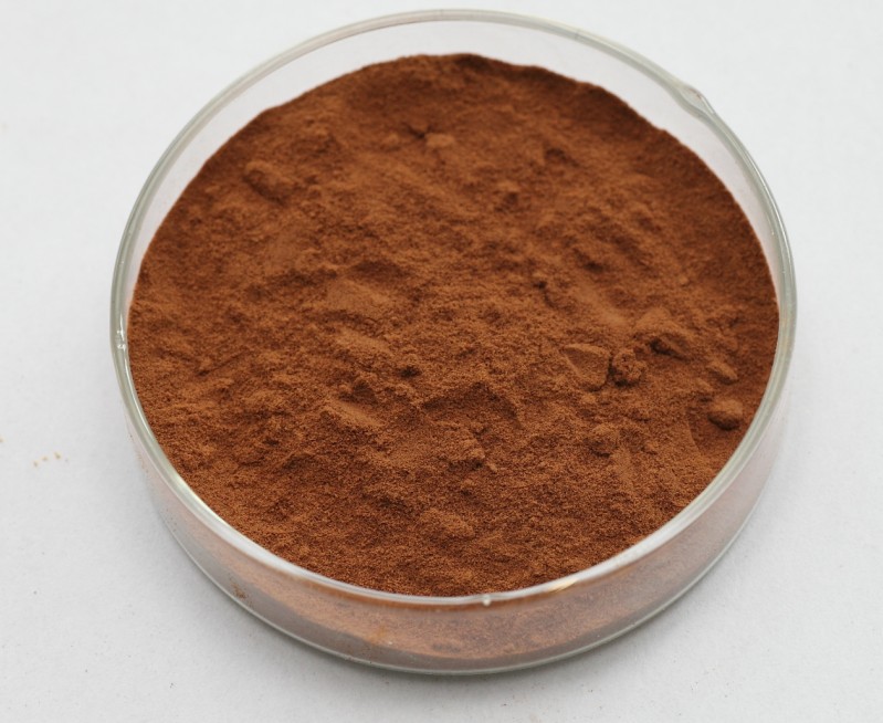 生产厂家供应红景天提取物