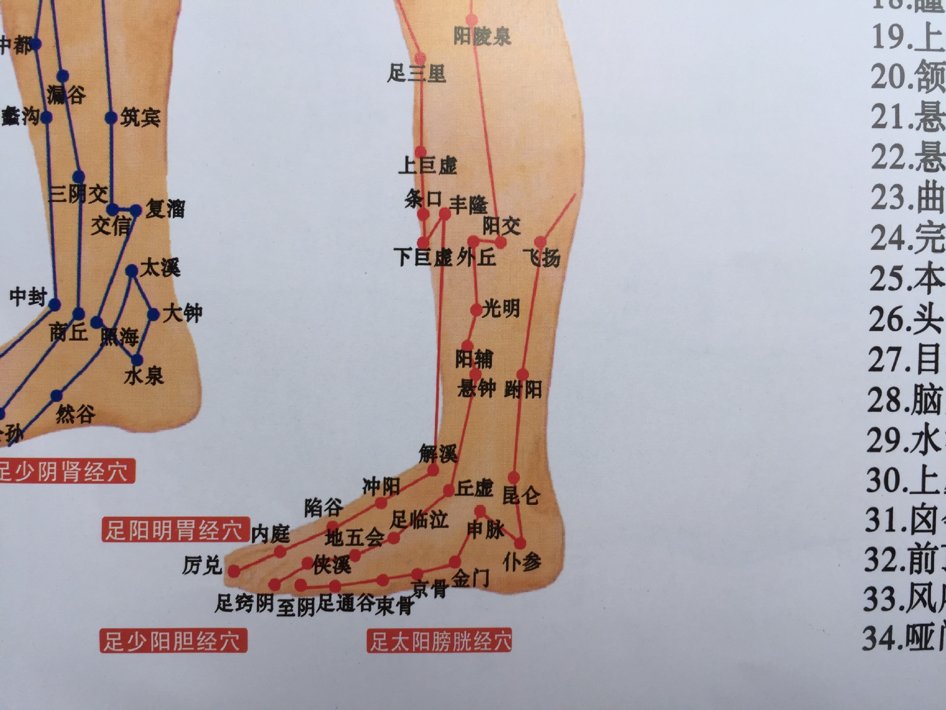腿各部位的名称图解-千图网
