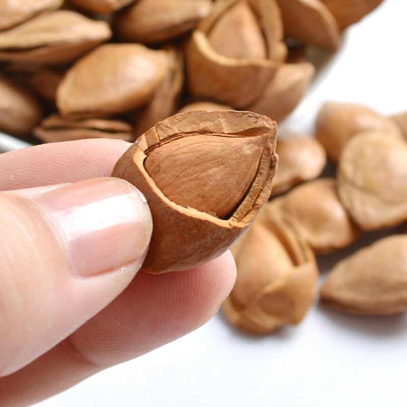 精选新疆小白杏 开口杏核小银杏核 小白杏坚果干果 500gx2 包邮