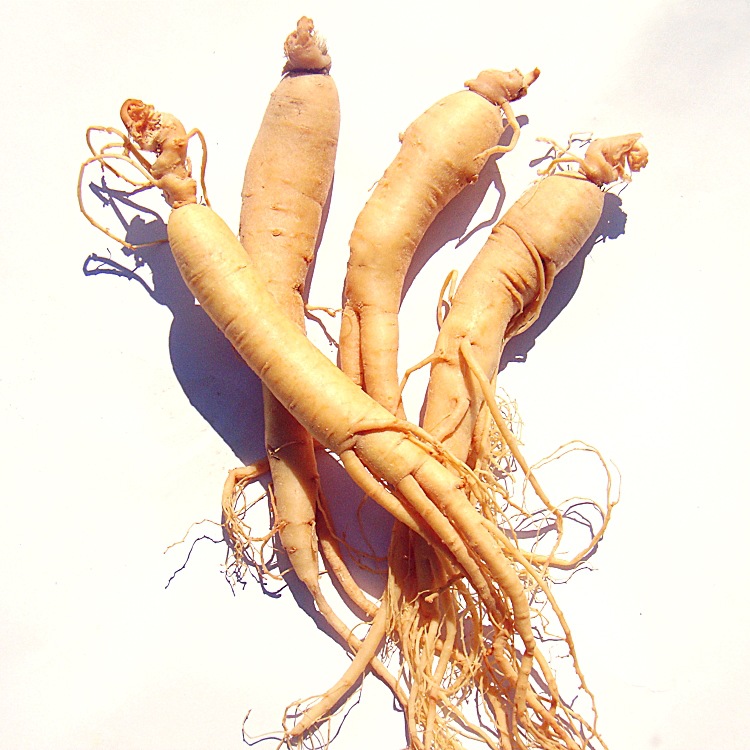 厂家直供批发销售保鲜人参泡酒煲汤药膳传统滋补佳品土特产-阿里巴巴