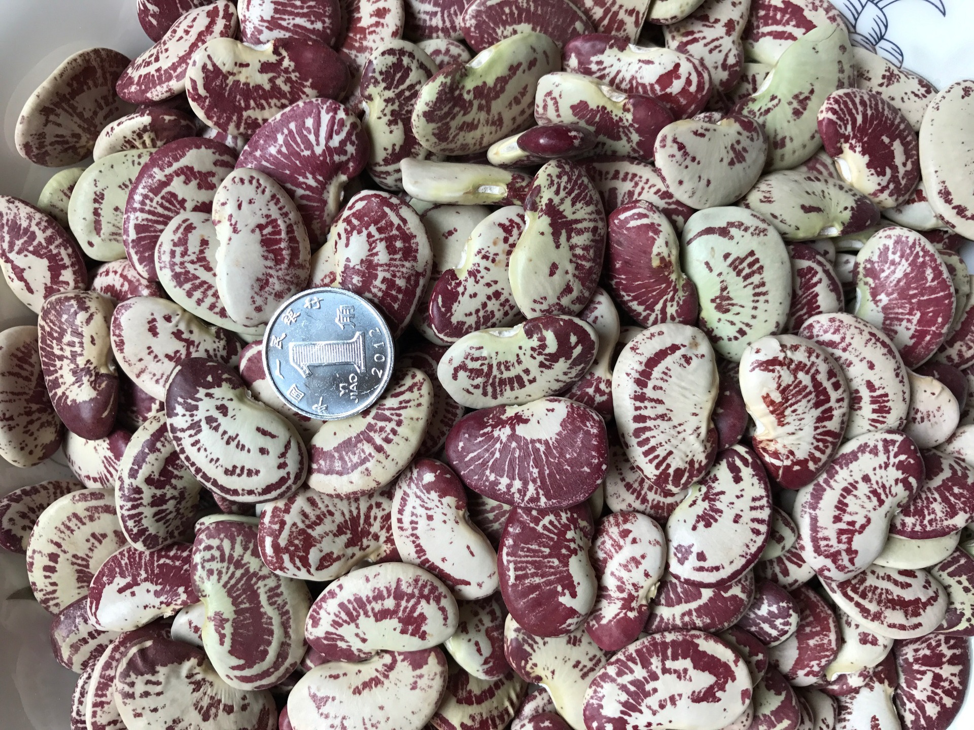 天然精选荷包豆 大粒扁型斑马豆 八宝粥豆浆原料肾豆自产五谷杂粮