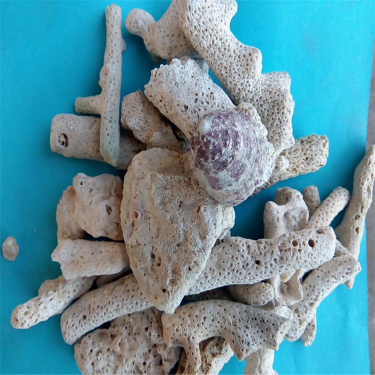 珊瑚砂 珊瑚沙珊瑚石过滤材料珊瑚骨稳定水质ph天然底沙