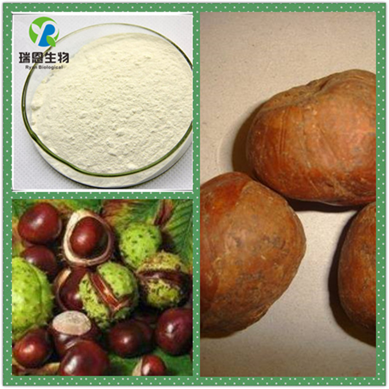 婆罗果提取 七叶皂甙 hplc检测含量20% 厂家直供