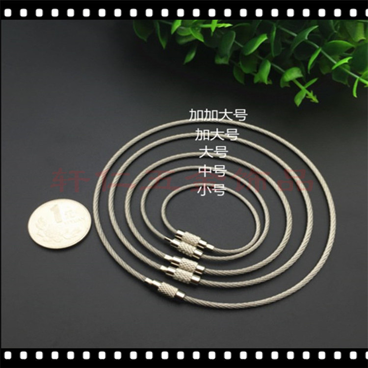 In Stock Wholesale Steel Wire Rope Ring Keychain Stainless Steel Color Coated Steel Traveller Wire Lock Large Quantity Bargaining