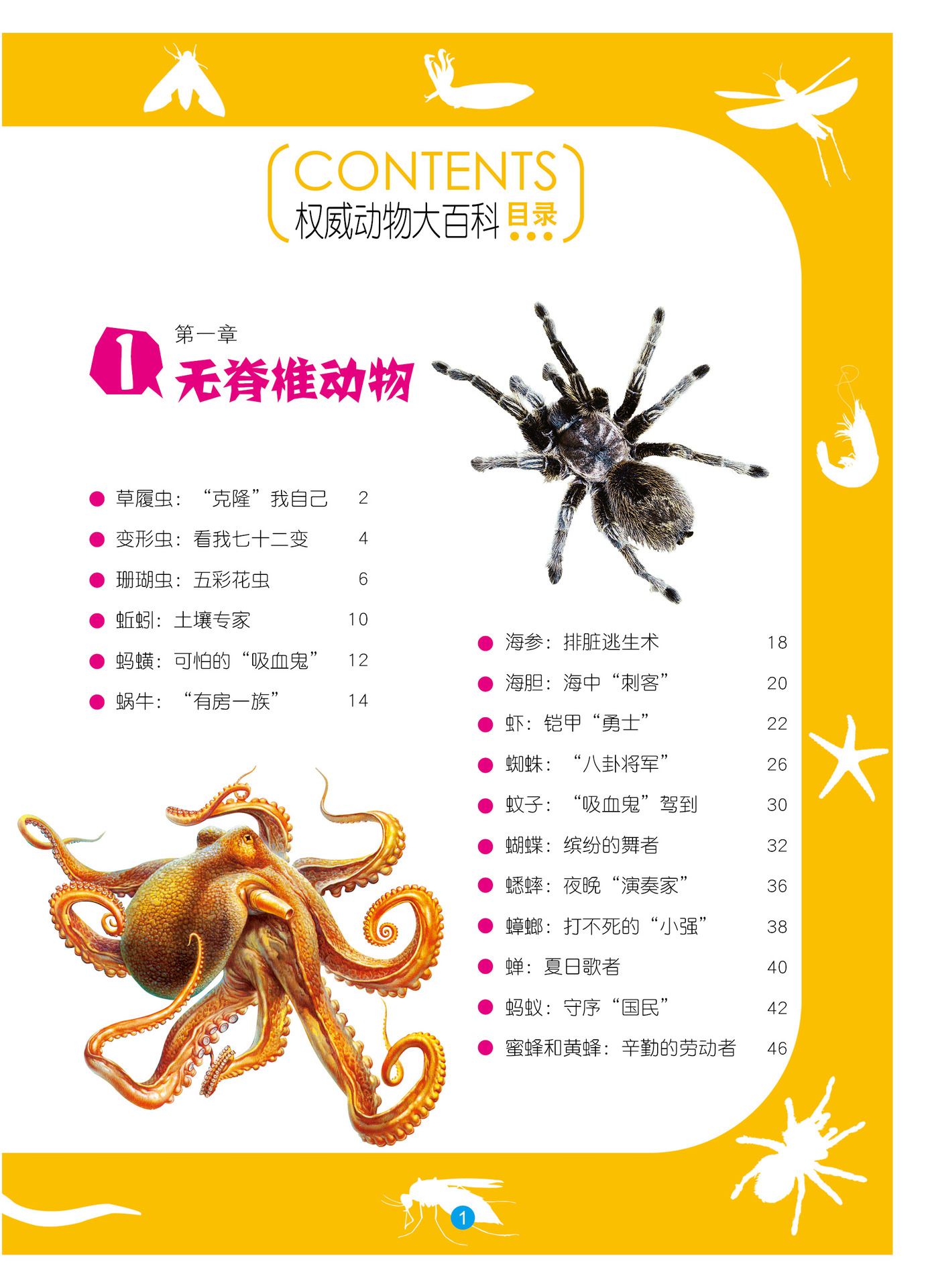 《权威动物大百科》青少版 新阅读(不注音)保证正版 35种 15/60