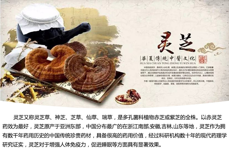 产地直销金寨灵芝 大别山椴木赤灵芝超细粉 零残留灵芝超微粉