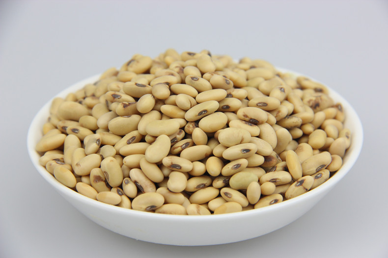 陕西特产陕北肾型老黄豆高蛋白大豆5斤包邮