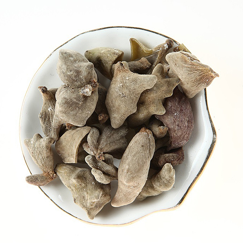 五倍子优质五倍子 专业批发零售 经商有道唯存厚