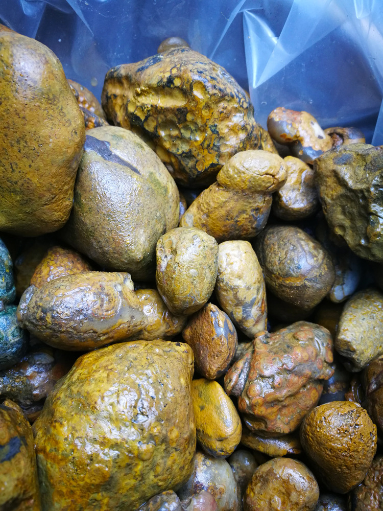 *奇石蒙天珠九眼石页岩原石鱼缸花盆造景石