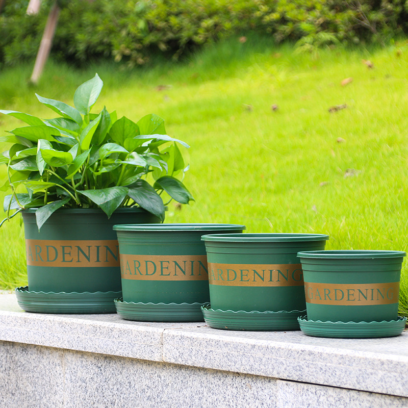 印花加仑盆 塑料花盆矮胖加仑盆 加仑花盆1/2/3/5加仑 一件代发
