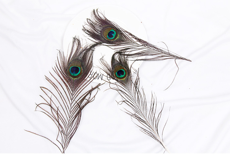 天然大眼睛孔雀羽毛翎毛 雀之灵 拍照背景道具