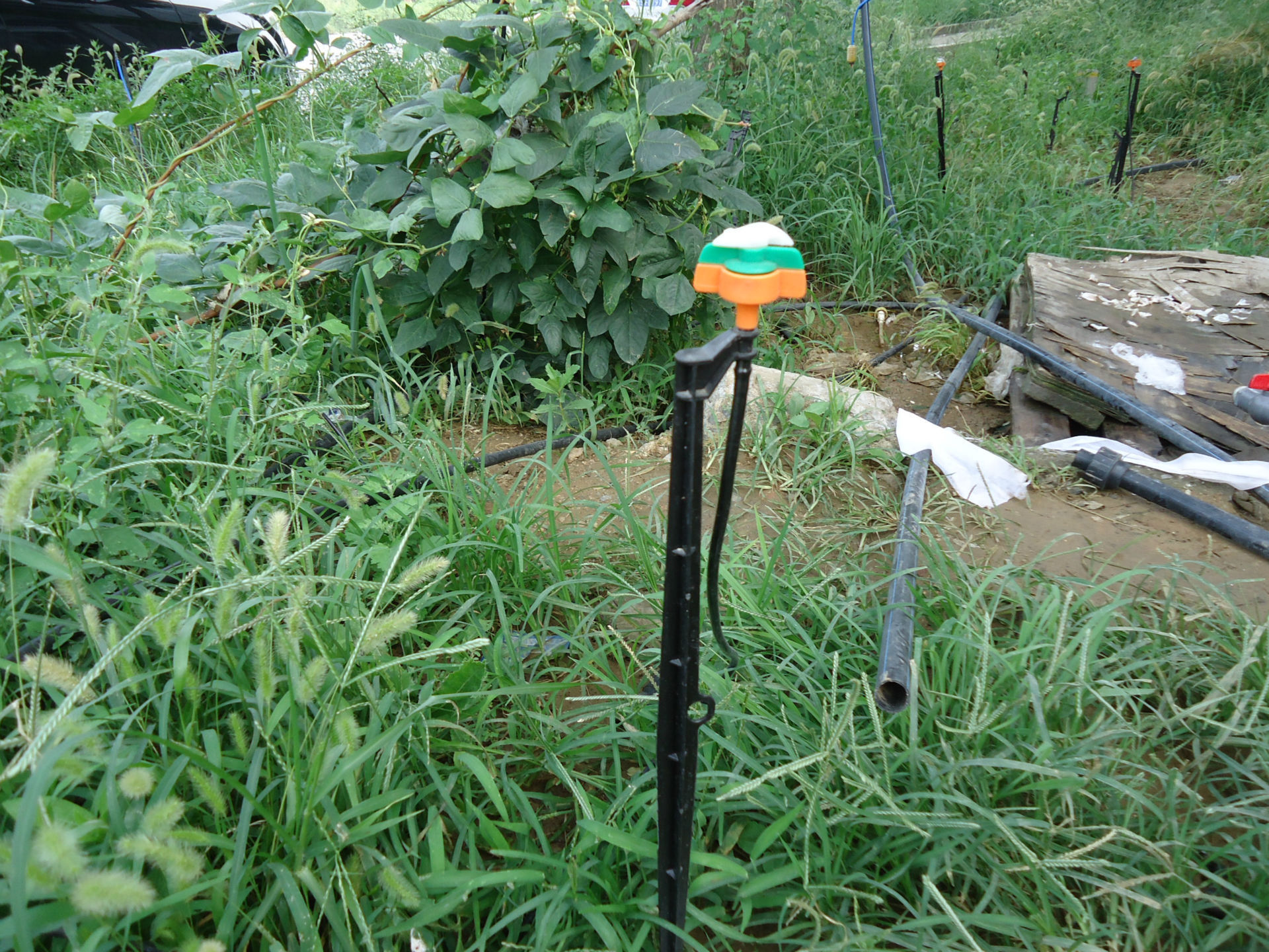 厂家供销吊挂插杆微喷喷头 蝶型喷淋 360度旋转 量大价优