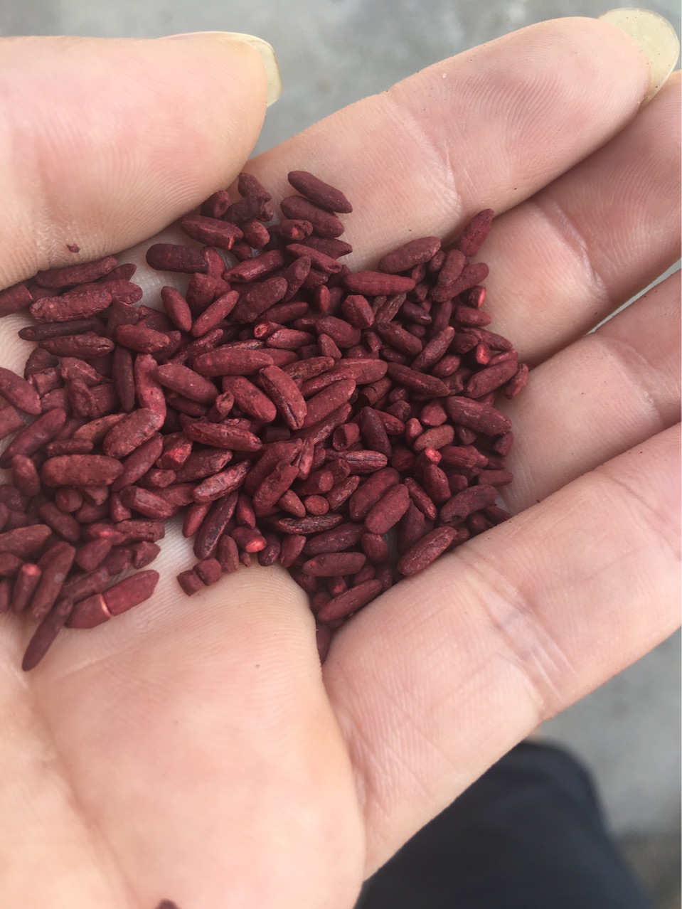 包邮50斤富硒红曲米 酿酒红曲赤曲米酒酒曲 无染色添加一件50斤