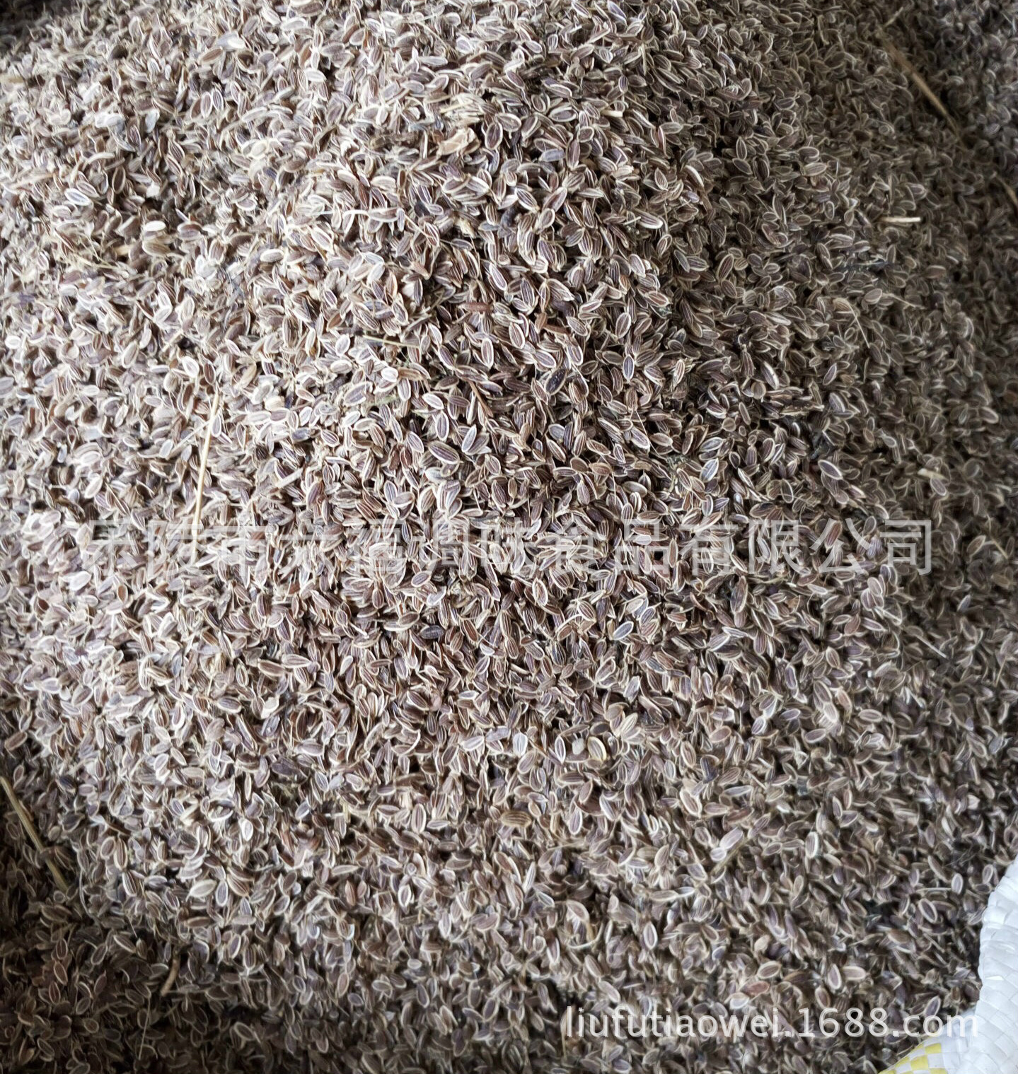 厂家供应 质量保证 石落子,莳萝籽,莳罗籽.