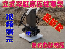 12V48V220V直流高压电动喷雾器/自吸打药水泵/农用灌溉园林高压泵