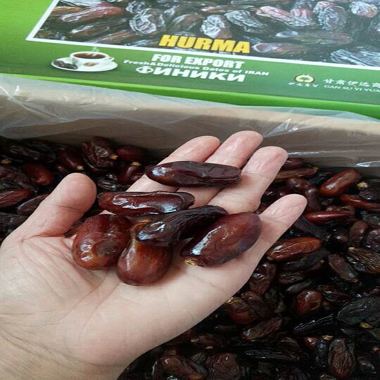 伊朗休闲零食黑椰枣 办公室果干蜜饯零食20斤/箱整箱批发-阿里巴巴