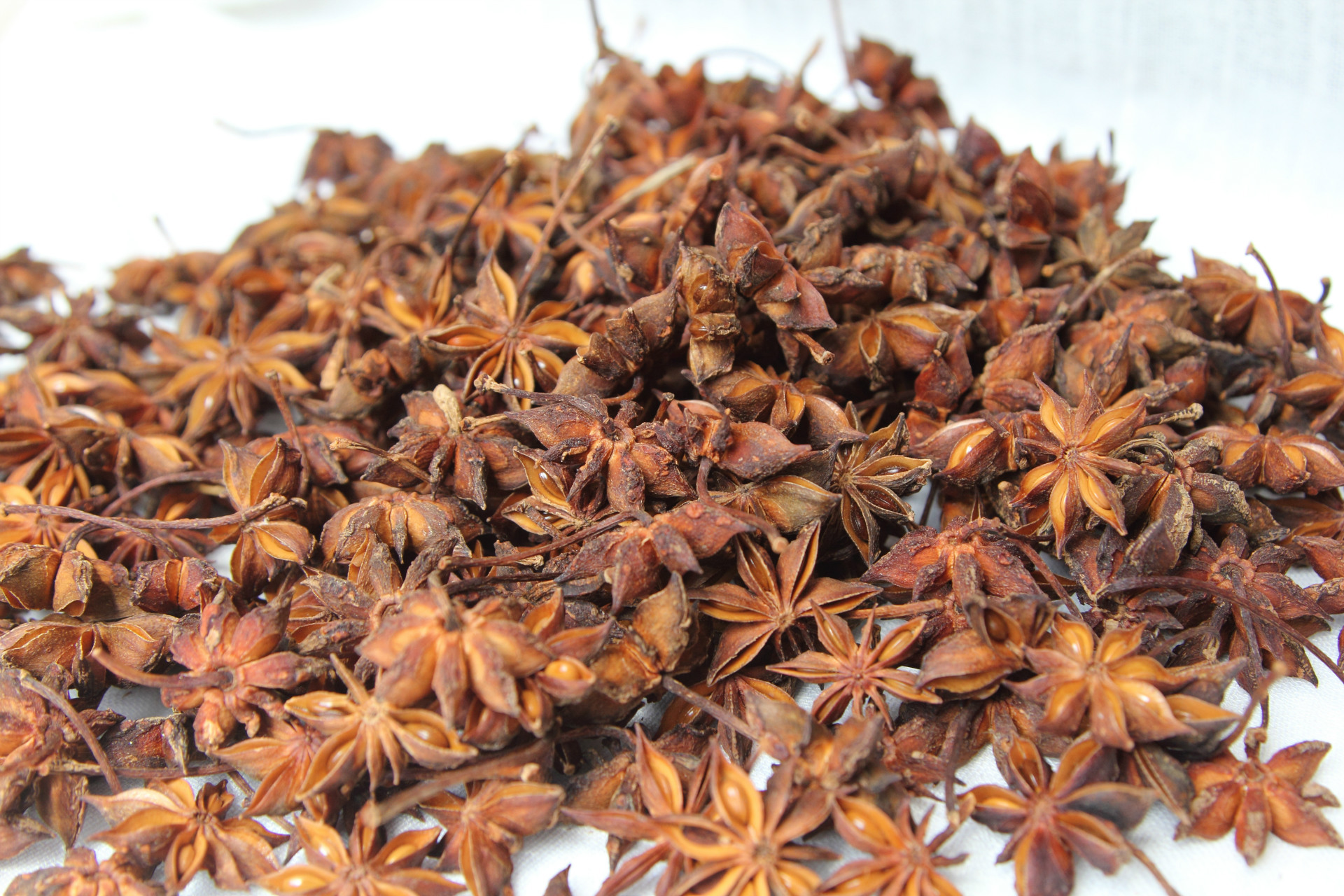 批发中药材香料调料广西八角大红八角 火锅底料调味品