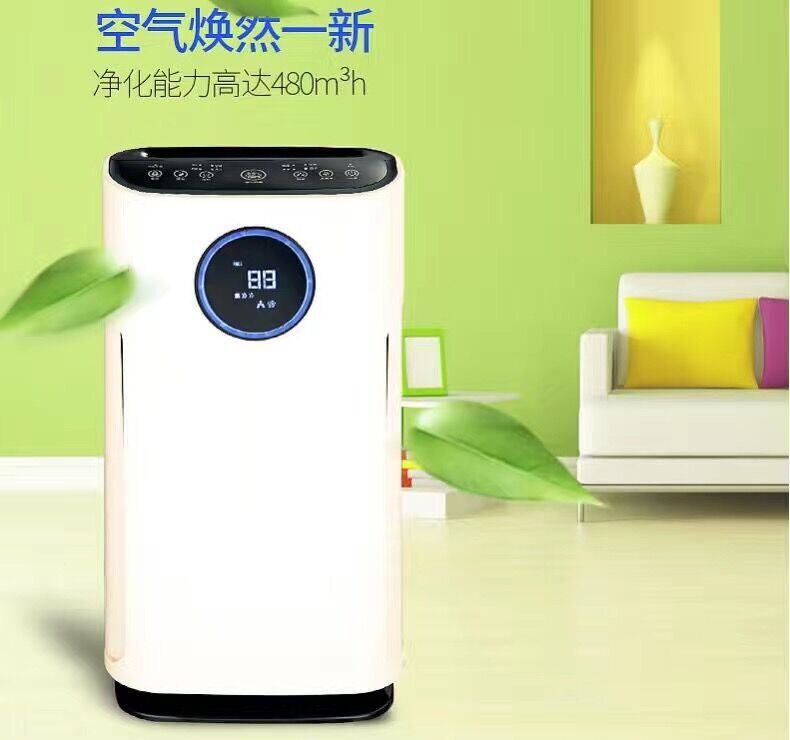 净化甲醛的室内植物_除甲醛空气净化器检测_甲醛净化吸附剂