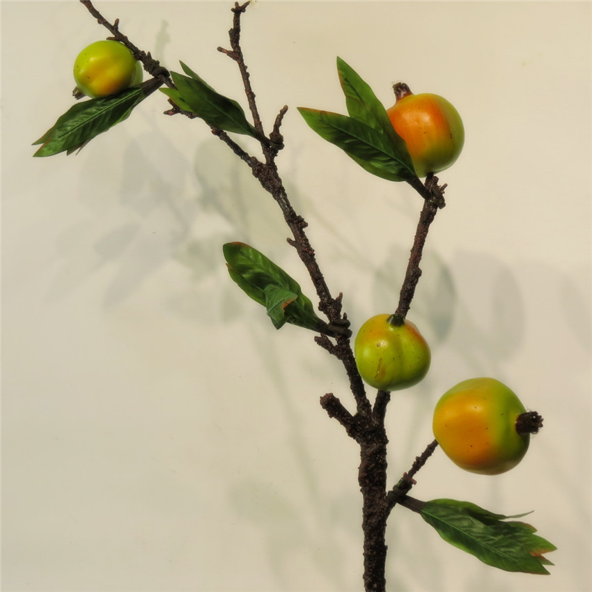 石榴果枝 浆果干枝干花插花柿子果树枝客厅摆放装饰