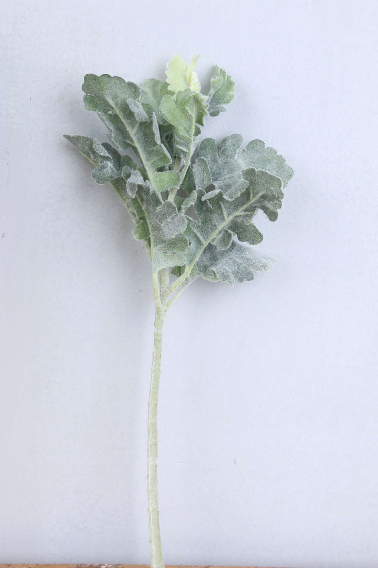 小银翘叶,仿真植物 插花配件 仿真花 人造植物 装饰用花 批发