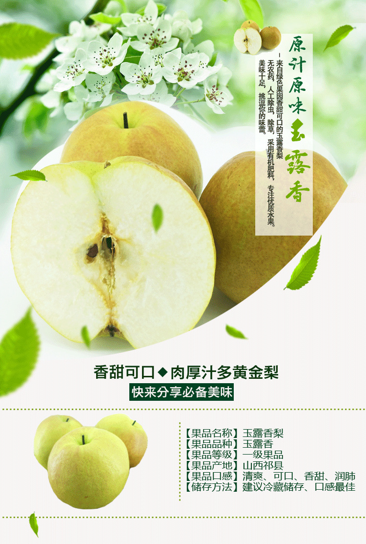 玉露香梨 山西隰县玉露香梨 库尔勒梨改良品种 核小脆甜多汁 包邮