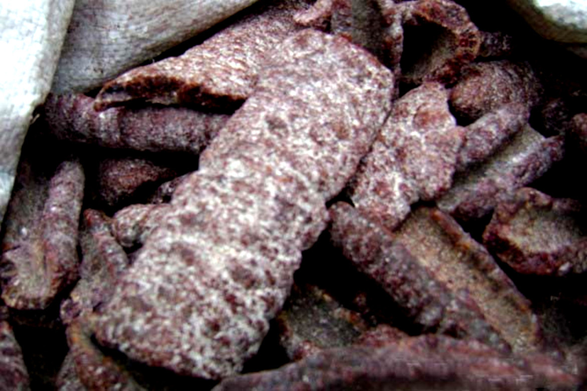 现货供应印度进口浅色透明金黄虫胶片 乐器木器紫胶片