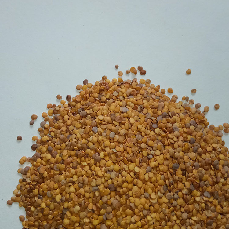 厂家供应熟茄子籽 低温烘焙茄子籽 原料茄子