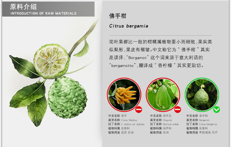 佛手柑精油 bergamot oil 进口单方精油原料批发