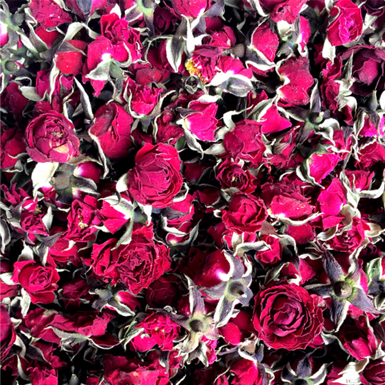 金边玫瑰花冠 半开玫瑰 金边半开玫瑰花冠 玫瑰花冠 金边玫瑰花冠