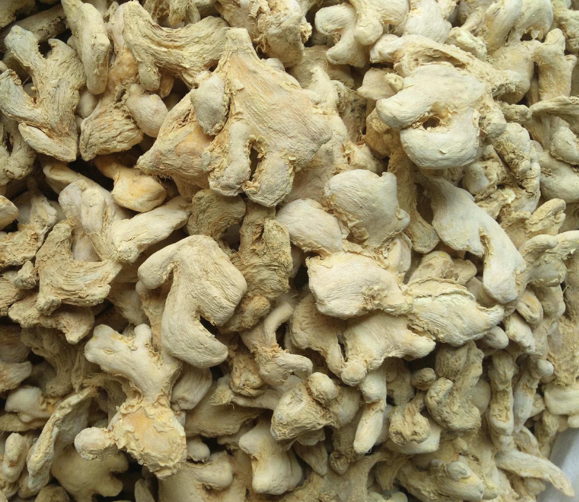 跑江湖地摊展销会云南小黄姜 干姜块 热销小黄姜 云南小黄姜块